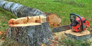 Best Firewood Processing and Delivery  in Lake Waynoka, OH